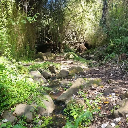 El Alamo, Tranquilidad Y Naturaleza